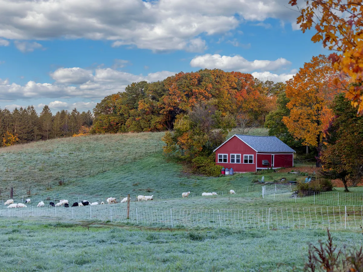 Red barn and white farmhouse beside a field with autumn trees on the hillside behind