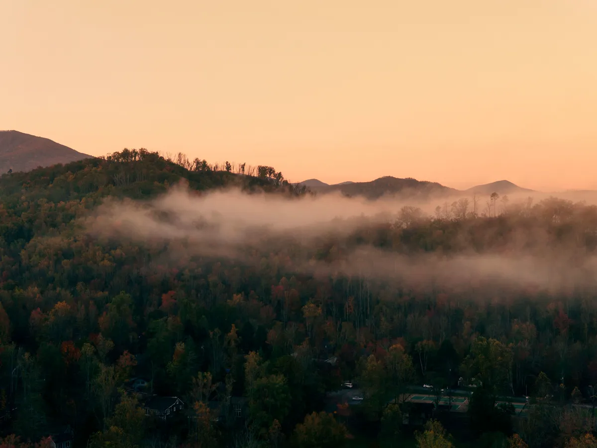 Sunrise light on a mountain ridge above a pine forest in the eastern US